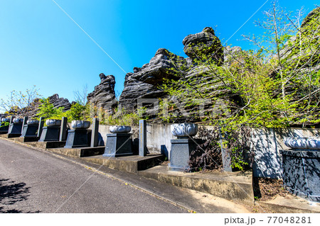 七ツ釜鍾乳洞の奇岩　化石の森　【長崎県西海市】 77048281