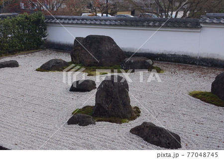 山口県 岩国市 紅葉谷公園 永興寺 薬師堂前の枯山水  77048745