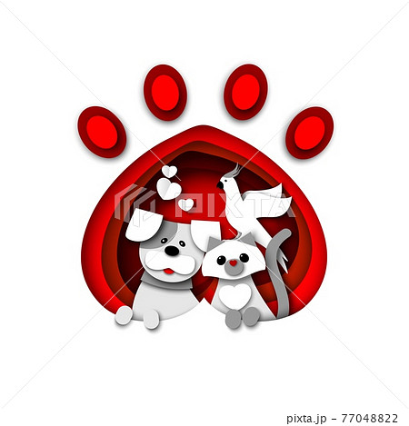 Cute cat, dog and parrot sitting in pet animal paw print, vector paper cut illustration. Pet shop, shelter, vet logo. 77048822