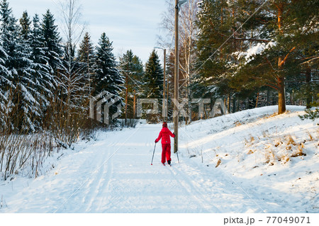 Small child in the ski track at winter forest in Finland. Small child in the ski track at winter forest in Finland. 77049071