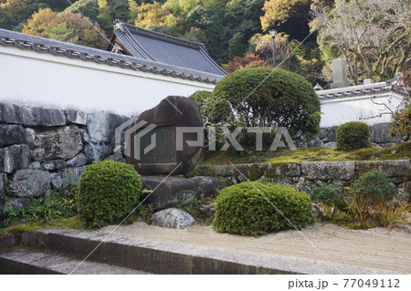 山口県 岩国市 紅葉谷公園 洞泉寺の参道 77049112