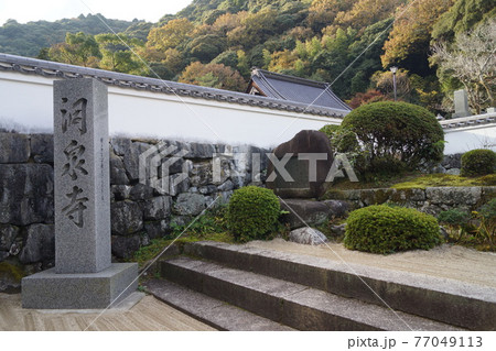 山口県 岩国市 紅葉谷公園 洞泉寺の参道 山口県 岩国市 紅葉谷公園 洞泉寺の参道 77049113