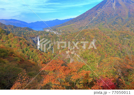 【栃木県】錦秋の華厳の滝 【栃木県】錦秋の華厳の滝 77050011