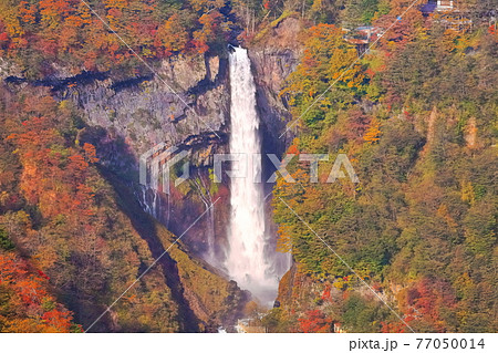 【栃木県】錦秋の華厳の滝 77050014
