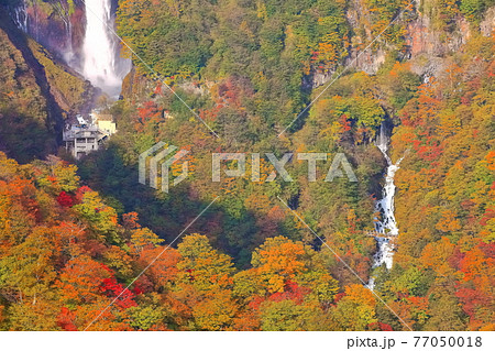 【栃木県】錦秋の華厳の滝 77050018
