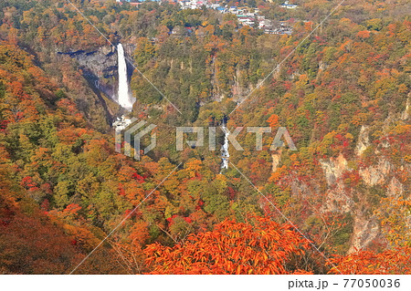 【栃木県】錦秋の華厳の滝 77050036