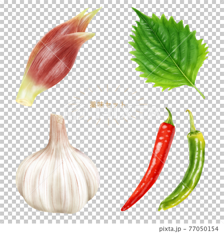 水彩イラスト 薬味セット 77050154