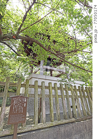 泉岳寺（高輪） 77050174