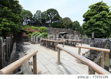 泉岳寺(高輪) 泉岳寺(高輪) 77050186