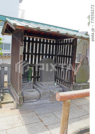 泉岳寺（高輪） 77050272