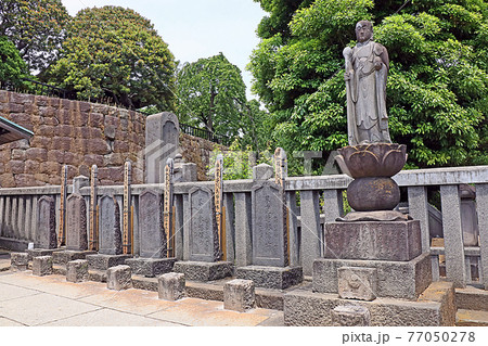 泉岳寺（高輪） 77050278