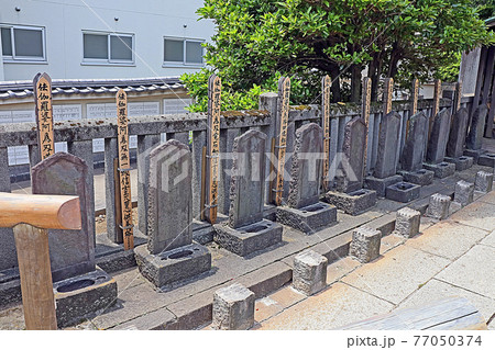 泉岳寺(高輪) 泉岳寺(高輪) 77050374