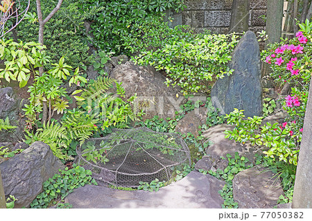 泉岳寺(高輪) 泉岳寺(高輪) 77050382