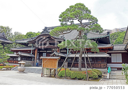 泉岳寺(高輪) 泉岳寺(高輪) 77050553
