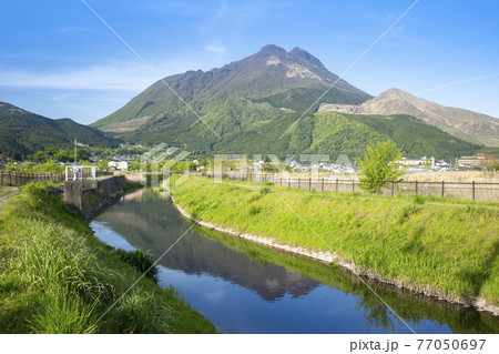 湯布院盆地と由布岳 77050697