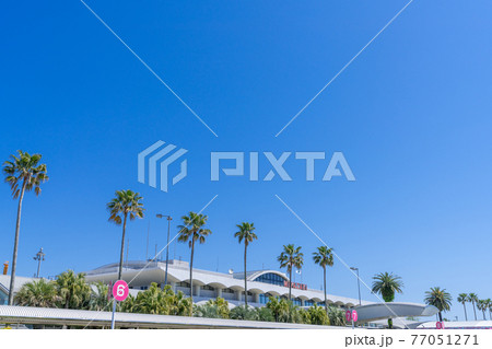 宮崎ブーゲンビリア空港・宮崎空港＿宮崎県宮崎市 77051271