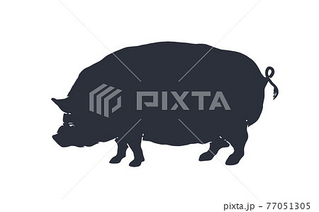 Pig, silhouette. Vintage logo, retro print, poster - Stock