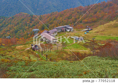 秋の群馬県 谷川岳天神峠付近から谷川岳ロープウェイ天神平駅方面を見る 77052118