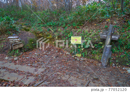 秋の群馬県谷川岳 天神尾根にある分岐点(天神平,天神峠,谷川岳)を示す道標 77052120