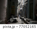 インド　廃れた路地裏 77052165
