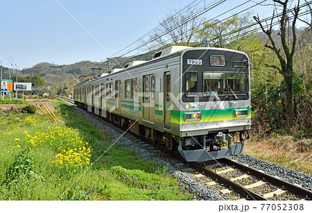 鉄道 私鉄:秩父鉄道 7800系 7803号編成 鉄道 私鉄:秩父鉄道 7800系 7803号編成 77052308