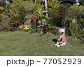 かしいかえんのフラワーガーデンにて花が気になる息子 77052929