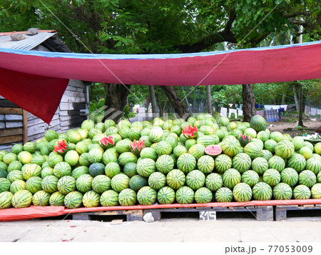 スイカの山（アジアの果物露店・スリランカ） 77053009
