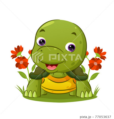 The little turtle is crawling and giving a happy face in the garden 77053637
