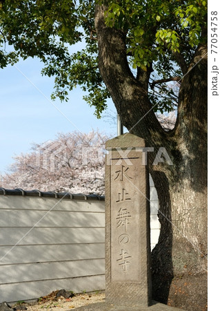 水止舞の巌正寺 77054758