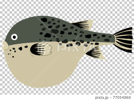 Illustration of a blowfish 77054860