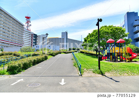 東白髭公園(東京都墨田区)【2021.4】 東白髭公園(東京都墨田区)【2021.4】 77055129