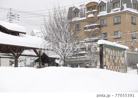 長野県白馬村の雪景色 77055391