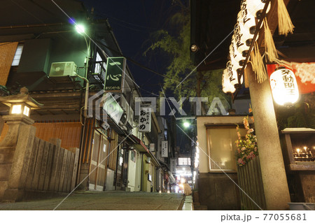 コロナ禍で閑散とした大阪千日前　法善寺横丁　猫　夜【2021年4月】 77055681