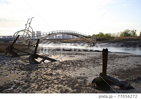 桟橋 海 川 77056272