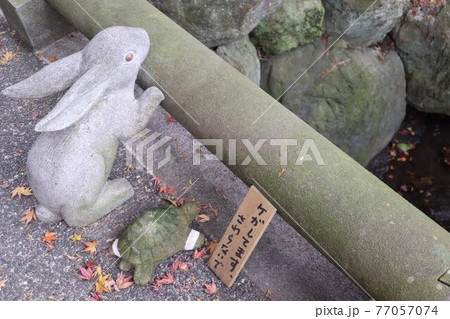 ウサギとカメ 77057074