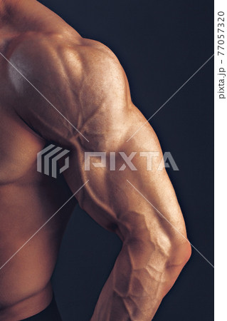 Fitness man background shoulder biceps pectoral muscles triceps bodybuilder on a dark background demonstrates the physical form for classes in the gym 77057320