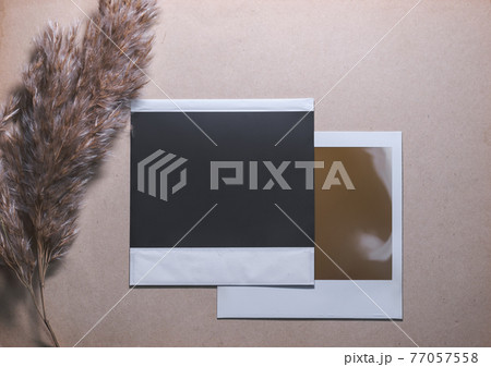 Two Blank photo frames with reed on brown background Two Blank photo frames with reed on brown background 77057558