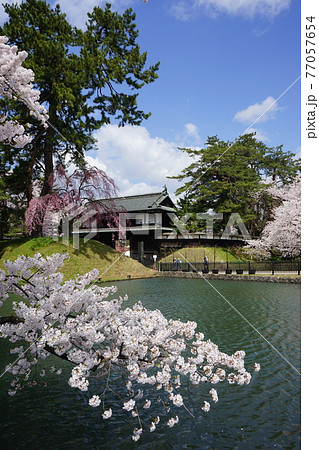 桜の名所 弘前城 桜の名所 弘前城 77057654