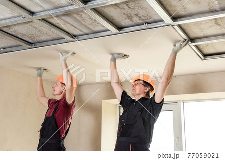 Workers are attaching plasterboardto the ceiling. Workers are attaching plasterboardto the ceiling. 77059021
