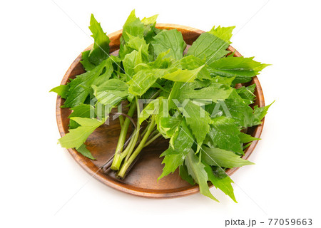 山菜のしどけ 77059663