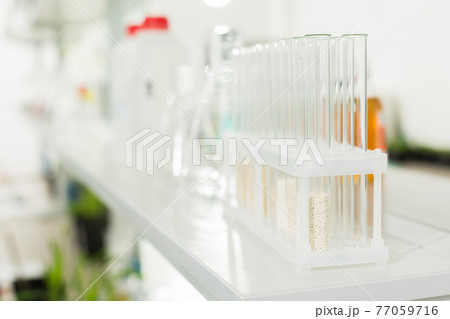 Glass test tubes in the laboratory. Glass test tubes in the laboratory. 77059716