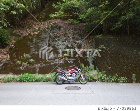 とある山間の県道にて　早朝 77059863