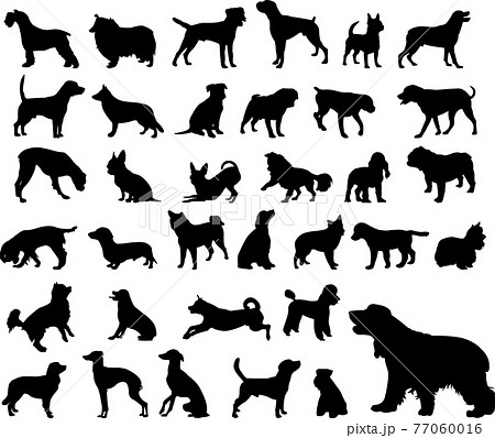 dogs silhouettes collection dogs silhouettes collection 77060016