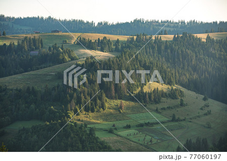Mountain landscape and meadow illuminated by the sun Mountain landscape and meadow illuminated by the sun 77060197