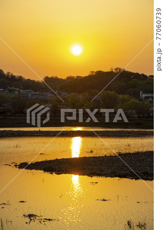 日の出 夕焼け 湖 77060739
