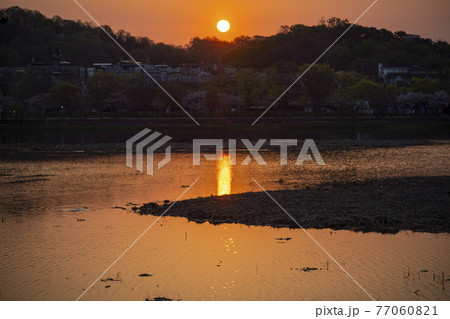 日の出 夕焼け 湖 77060821