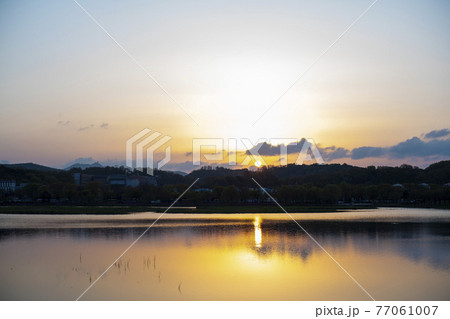 夕焼け 湖 桜 77061007