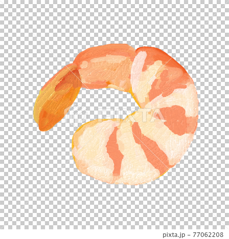 ゆでた海老 手描き ゆでた海老 手描き 77062208