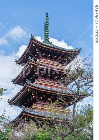 旧寛永寺五重塔 77063486