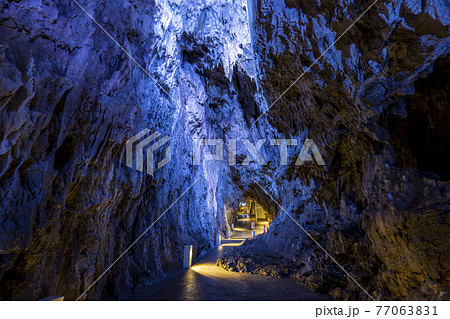 岩手県　岩泉町の龍泉洞　(月宮殿) 77063831